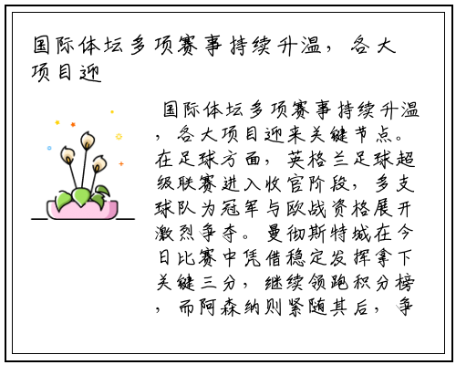 国际体坛多项赛事持续升温，各大项目迎来关键节点